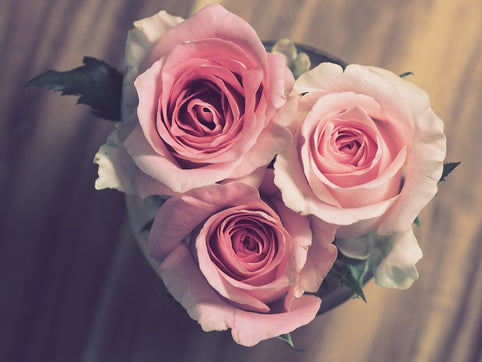 Anniversary Gift Ideas