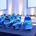 Unique Corporate Gifts & Employee Recognition Awards Under $250 in Australia