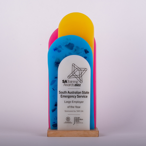 Resin Awards & Trophies | Australian Made - Contemporary Co Australian Made Gift Store