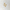 Stephanie Ockenden | Nude and White with Four Gold Hearts Wall Art Australian Made the Block