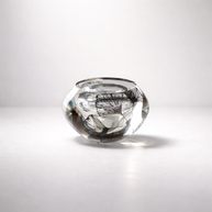 Ginkgo Biloba 4 – Hand Blown Glass Sculpture by Nicole Ayliffe