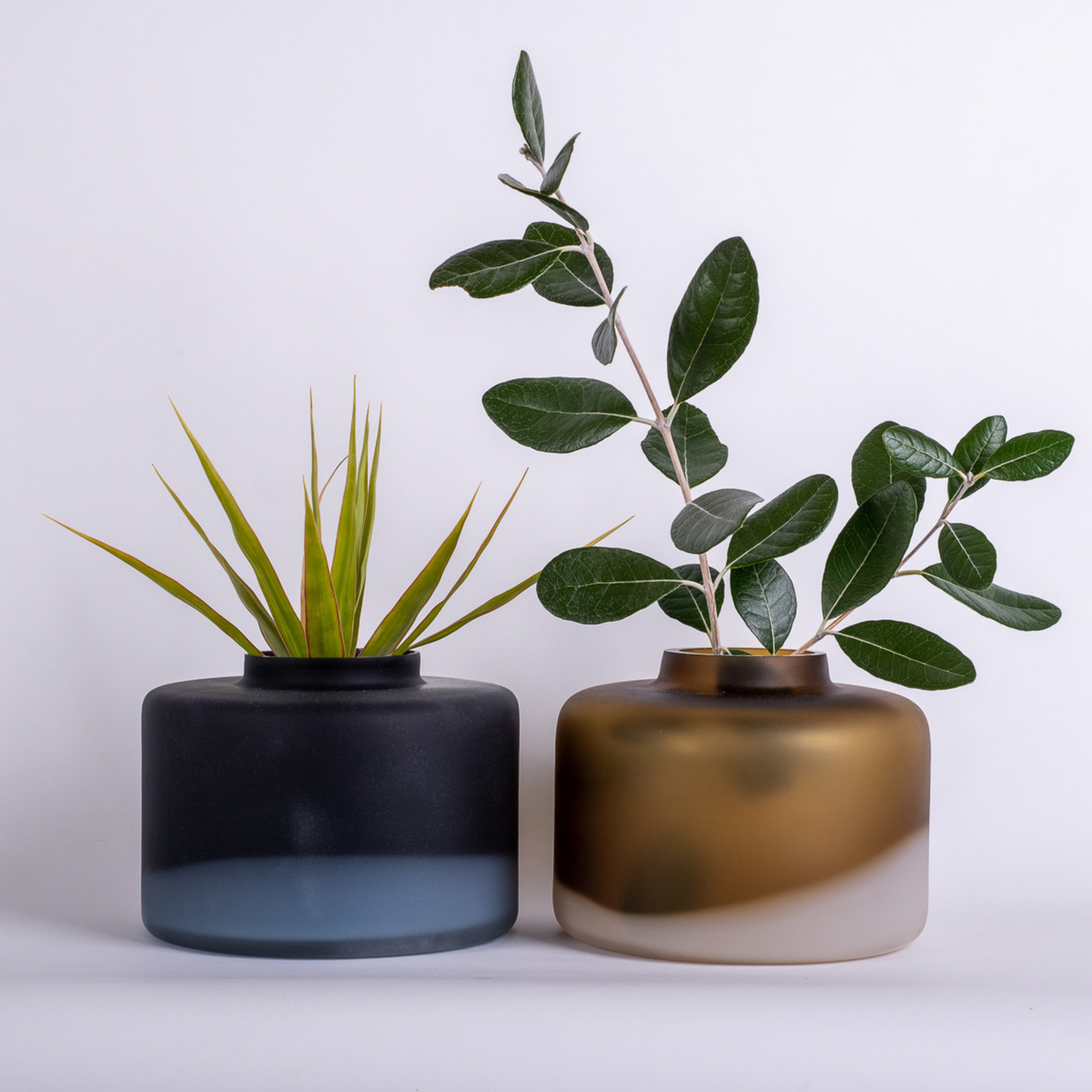 Haze Squat and Vase Series