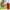 Red and white wine awards – Australian Made glass wine bottle trophies