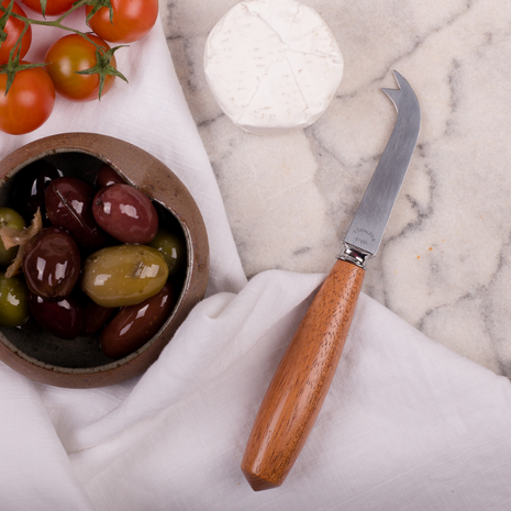 Cheese Knife | HASA Design Made in Tasmania - CoCo Contemporary Connoisseur Gift Store