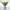 Humbug Vase Collection | Handmade by Bailey Donovan - CoCo Contemporary Connoisseur Gift Store
