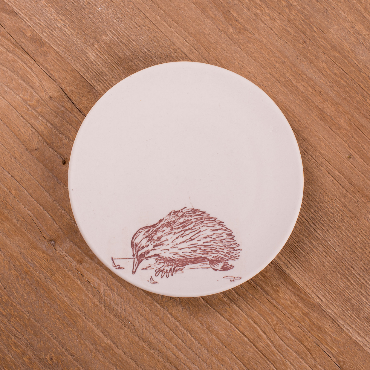 echidna coaster