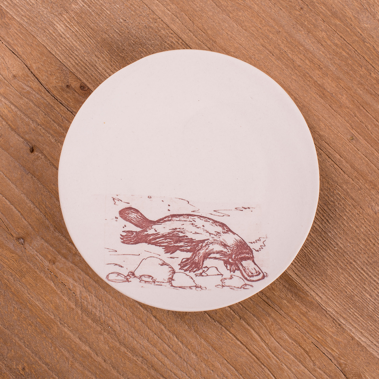 Platypus Coaster