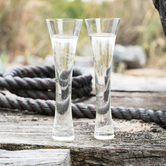 Sparkling Flutes Set of Two | Design by CoCo - CoCo Contemporary Connoisseur Gift Store