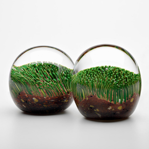 Turf Glass Paperweight | Handmade by Danielle Rickaby - CoCo Contemporary Connoisseur Gift Store
